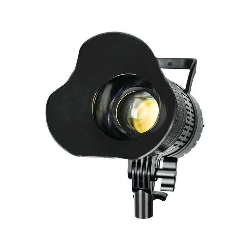 Spotlight LED 220V Studio Vide - đánh giá và giá Photography Lighting For Portraits